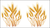 Material amarillo wheatvector - 01