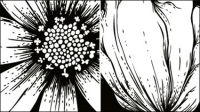 Le matriel vecteur fleurs gravure -1