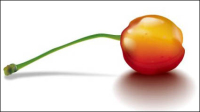 Le ralisme Vecteur de Cherry