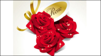 Belles roses 03 - matriel vecteur