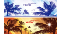 Bannire Coco 02 - matriel vecteur