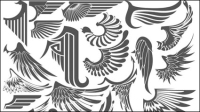 Ailes coule 01 - matriel vecteur