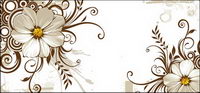 Chrysanthme sauvage et de la mode tendance vecteur matriel