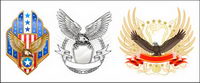 Eagle Vector Shield matriel