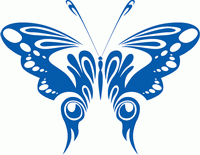 Fashion Butterfly matriel Vector