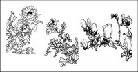 glycine, pche, Hortensia, Begonia