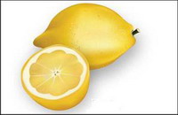 Vector Citron