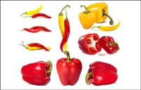 cpepper, les lgumes, les poivrons vecteur