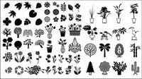 Les fleurs et les arbres, les plantes ornementales bambou