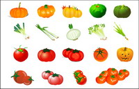 Lgumes Vector - Potiron Tomate Ail Oignon