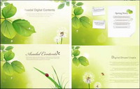 Leaves, pissenlit, herbe, coccinelle