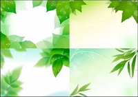 feuille verte