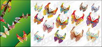14 Butterfly vecteur matriel