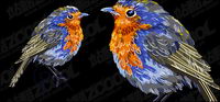 Vector matriel birdies