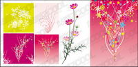 de fleurs colores
