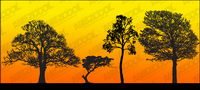 silhouettes d