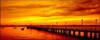 Belle soire Terminal matriel photo