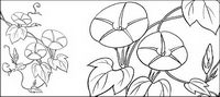 Vector dessin de fleurs-9