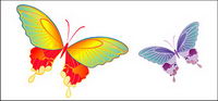 vecteur matriel Butterfly