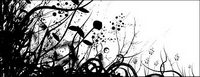 Noir et blanc mode Vector matriel vgtal