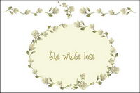 Rose-blanc modle
