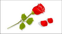 Et ptales de roses rouges