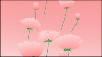 Fleurs roses