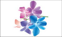 Fashion Flower couleur vecteur matriel