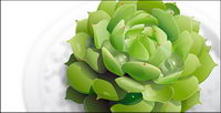 Vector matriel greens