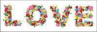 Color compos de fleurs de l