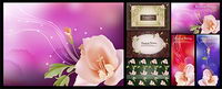 Dream fleur de dentelle vecteur matriel