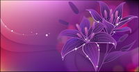 Rves de lis en pleine floraison