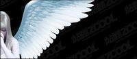 Hermoso ngel vector material
