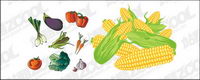 Vector material comn las frutas y hortalizas