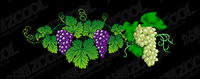 Vector raisin exquis matriel