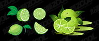 citron vert vecteur matriel