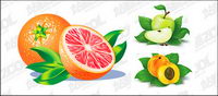 Naranjas, manzanas, melocotn vector material