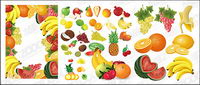 Fruit de l