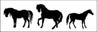 Horse Pictures vector material