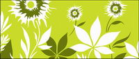 Fleurs et feuilles