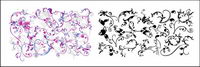 Pratiques mode pattern vecteur