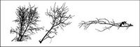 Fans branches de la matire