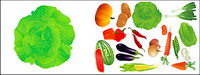 Vector fruits et lgumes