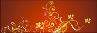 Gold magnifiques modles Vector-5