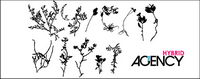 Les plantes fans Vector