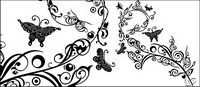 Butterfly et modles Vector