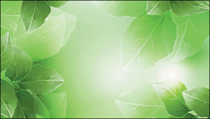 Vector Plant,free downloads vector,vector Vegetation Download Free