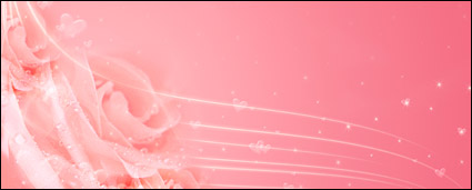 Dreams of pink roses background
