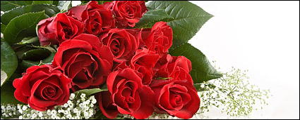 Bouquet of red roses picture