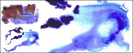 GoMedia produced watercolor ink picture material -003